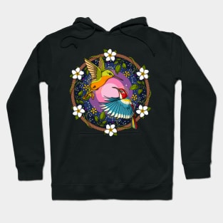 Ayahuasca Hummingbirds Hoodie